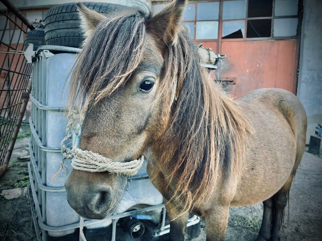 Jula (10).jpeg